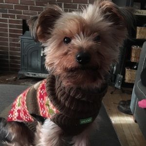 Meet your Posher, Caroline